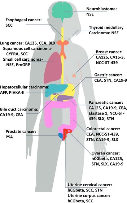 marker tumoral plamani|Understanding Tumor Marker Results: What Do the。